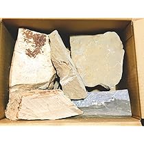特製砥石 大　本山砥石 Amazon | 天然砥石 山城銘砥 原石 奥殿 中山 大突 菖蒲谷 等